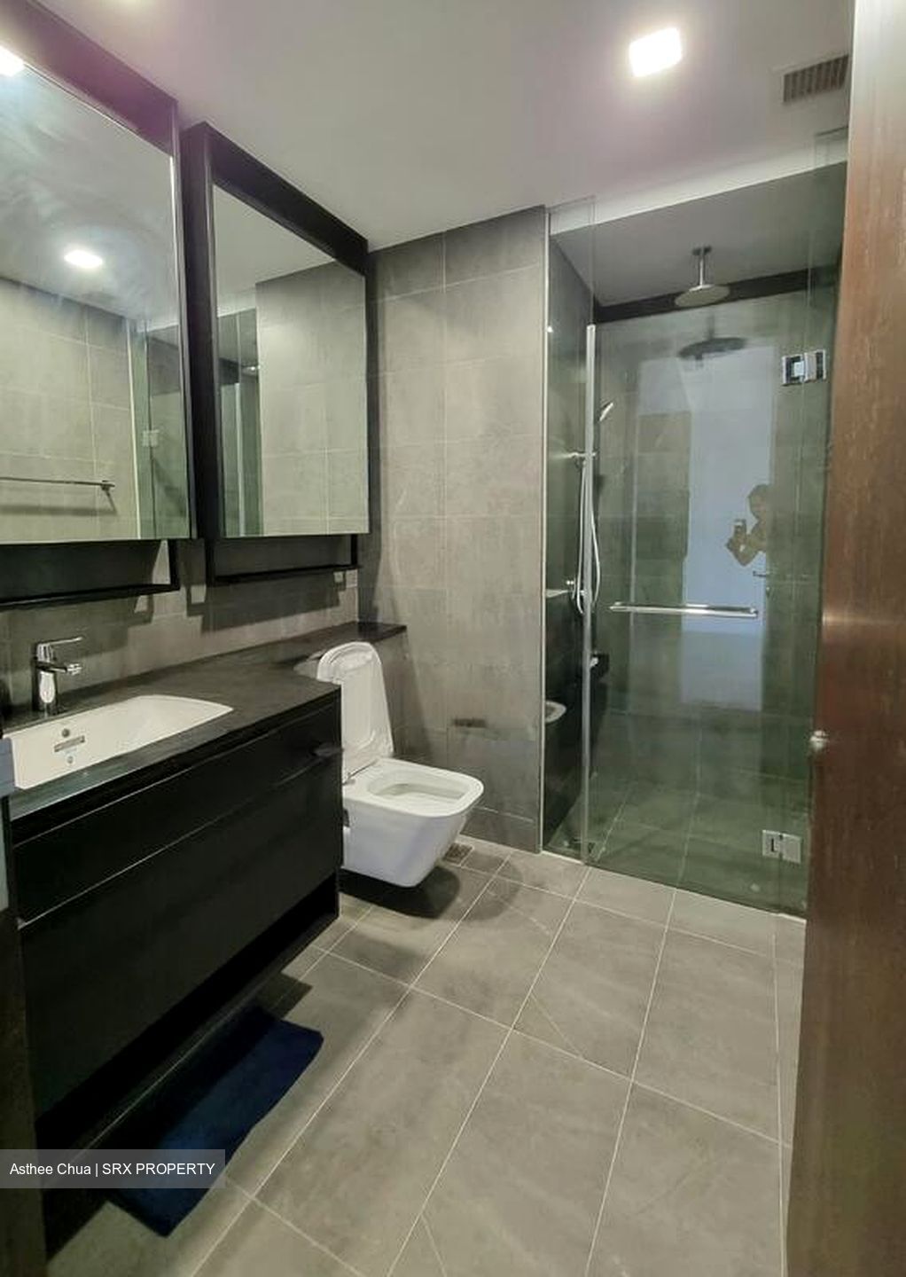 Park Colonial (D13), Condominium #524398401